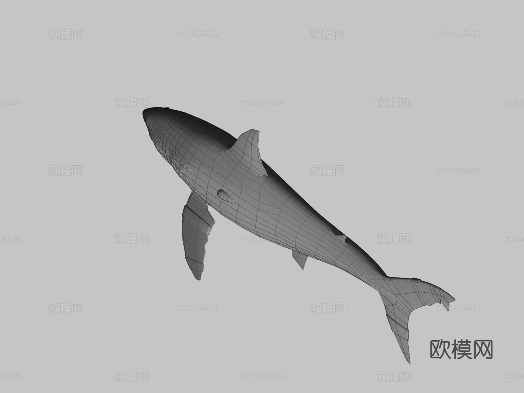 火星鲨鱼3d模型下载（渲染图3）