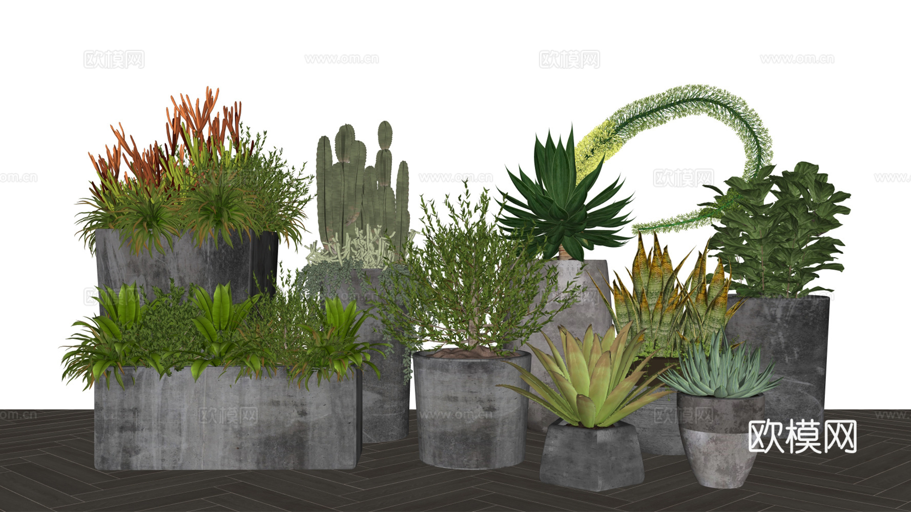 室内盆栽组合 植物组团 绿植组合 灌木花草 室内植物景观su模型