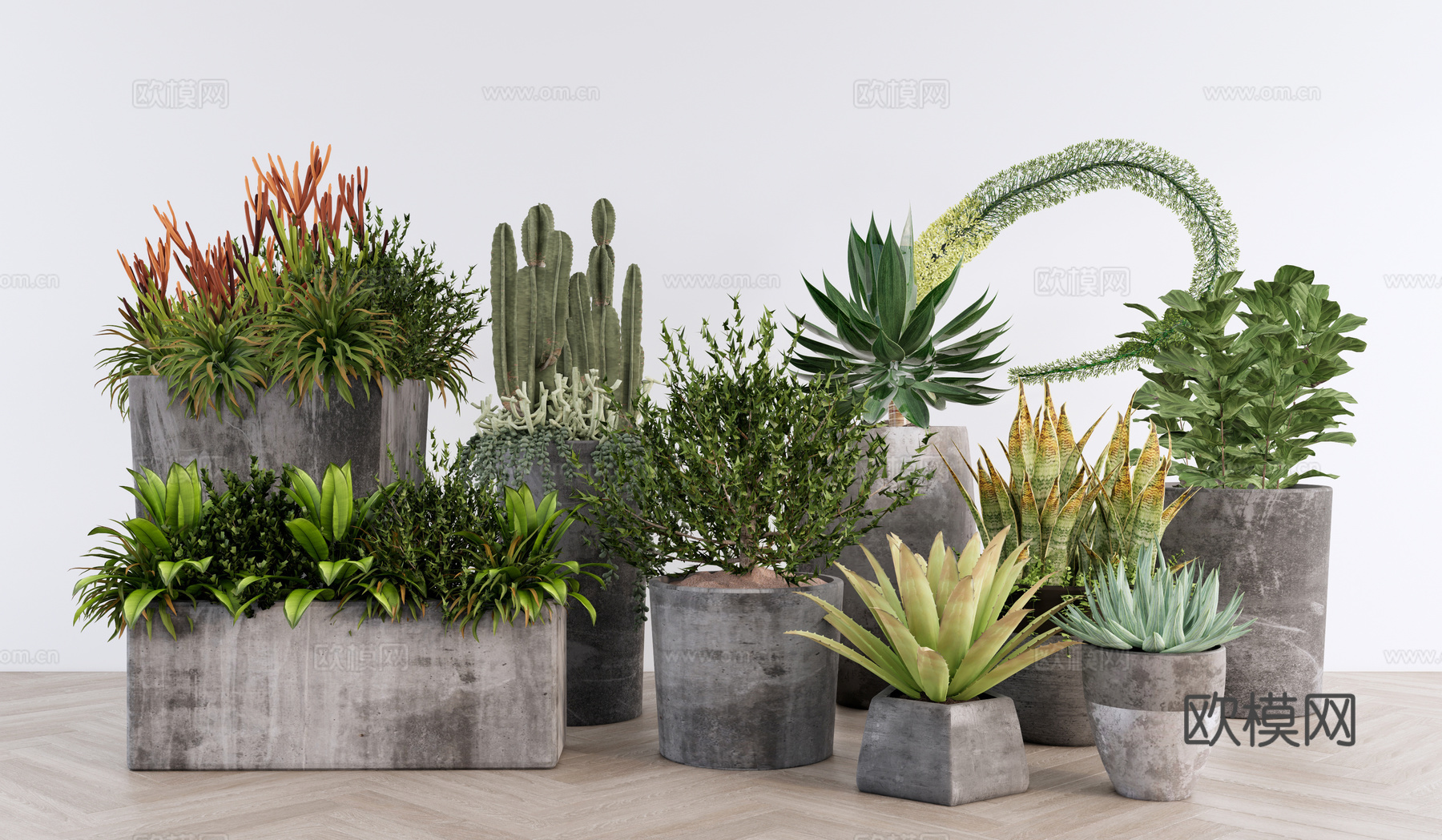 室内盆栽组合 植物组团 绿植组合 灌木花草 室内植物景观su模型