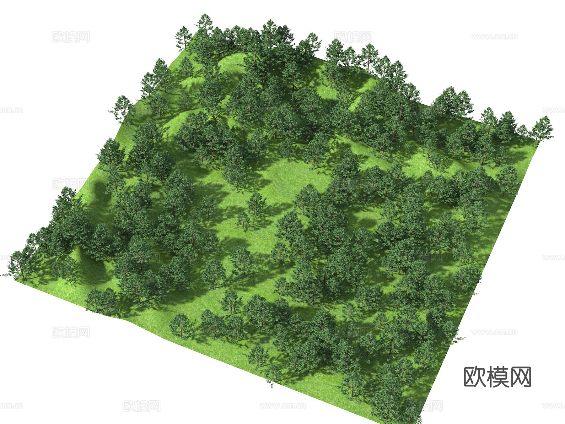 鸟瞰山体 鸟瞰树 树林 水杉树 杉树 山地3d模型下载