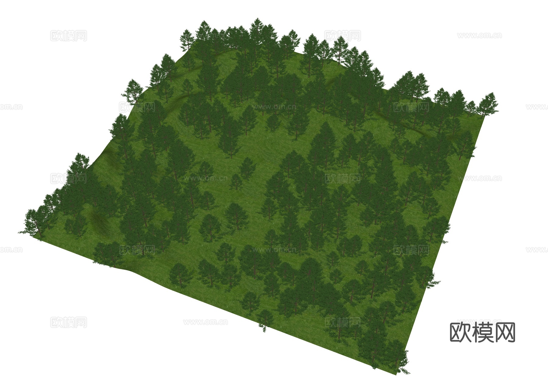 鸟瞰山体 鸟瞰树 树林 水杉树 杉树 山地su模型
