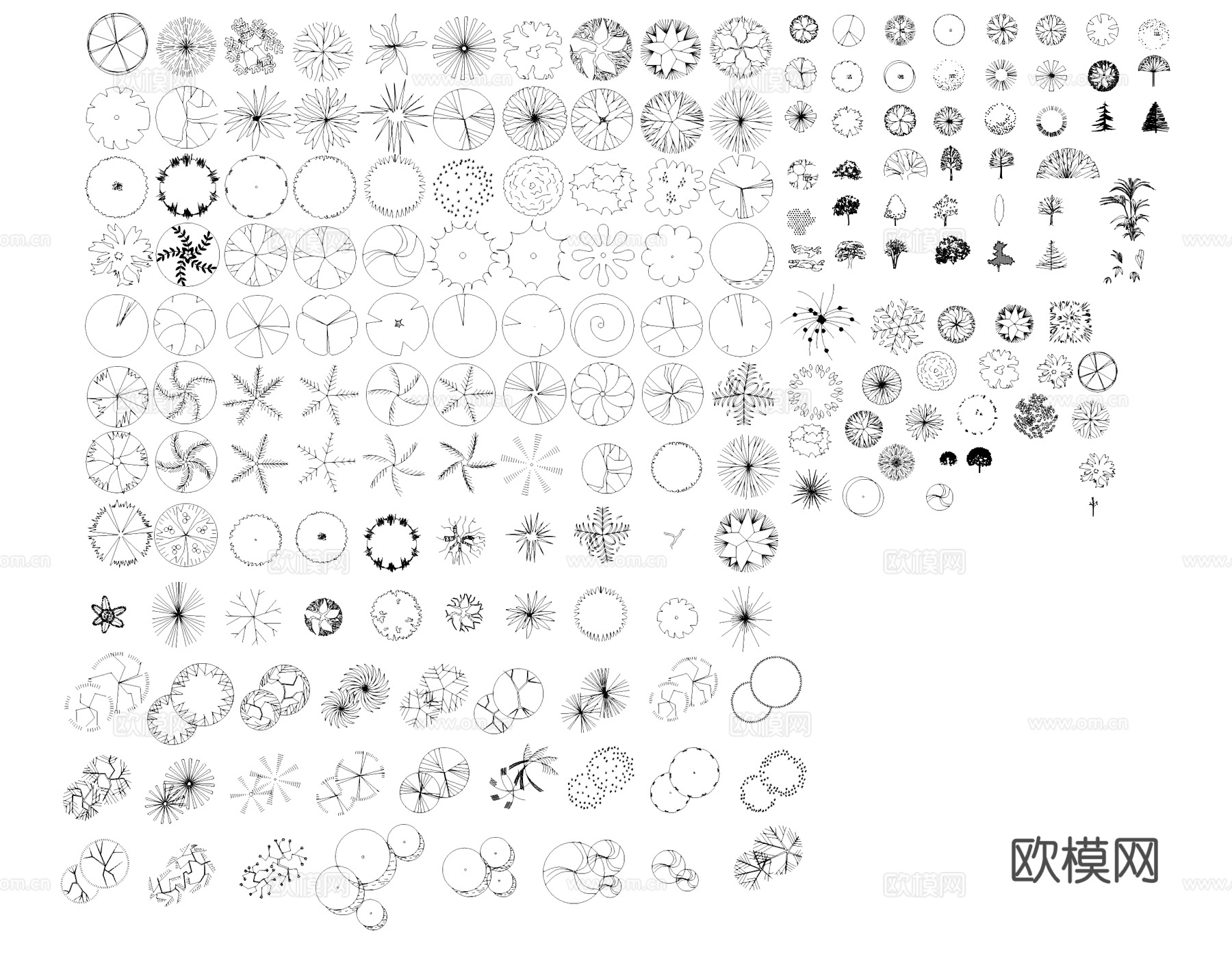 景观植物图块图例图库CAD施工图cad施工图