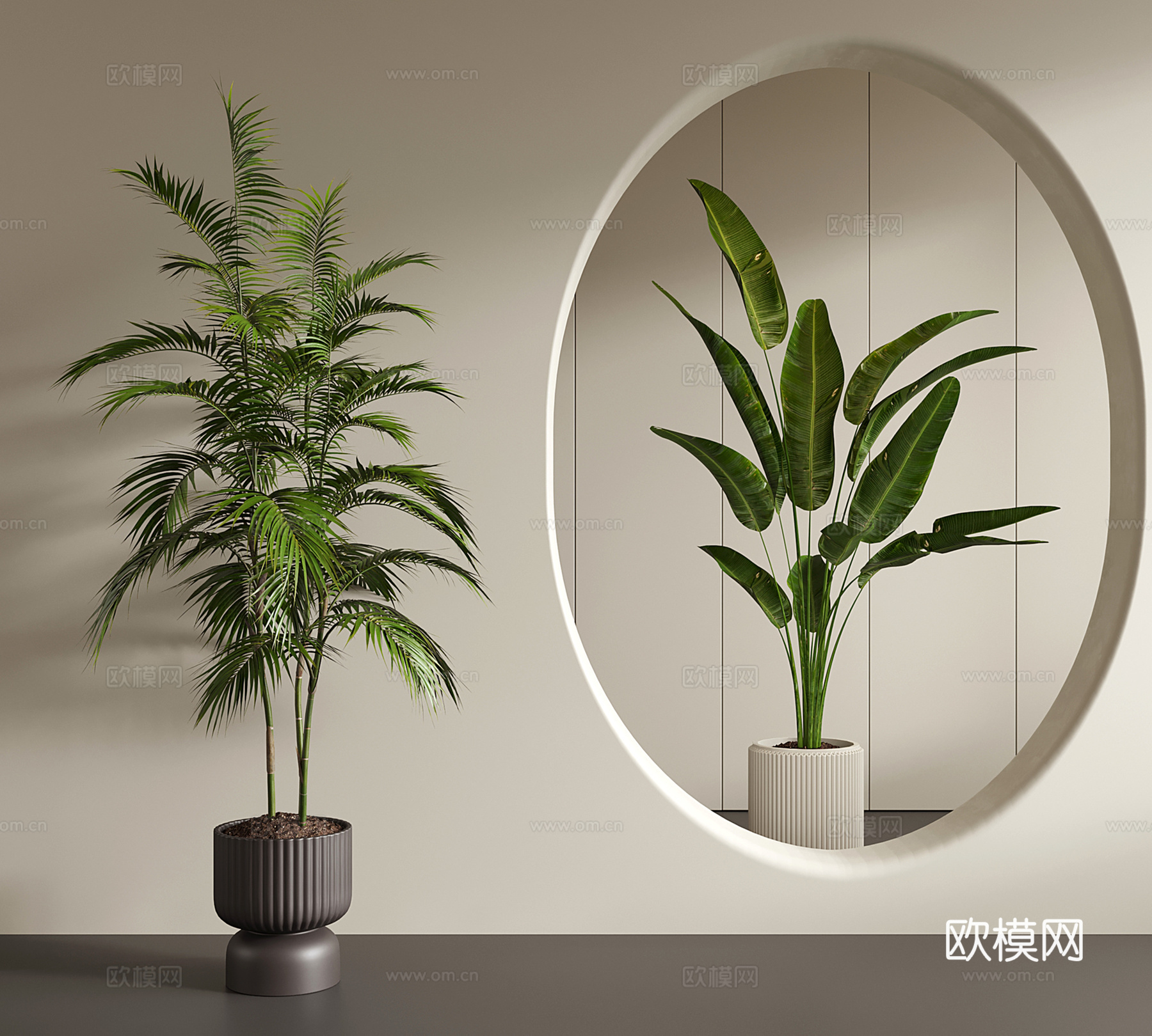 中古侘寂绿植 盆栽 棕桐凤尾葵 凤尾竹 旅人蕉su模型