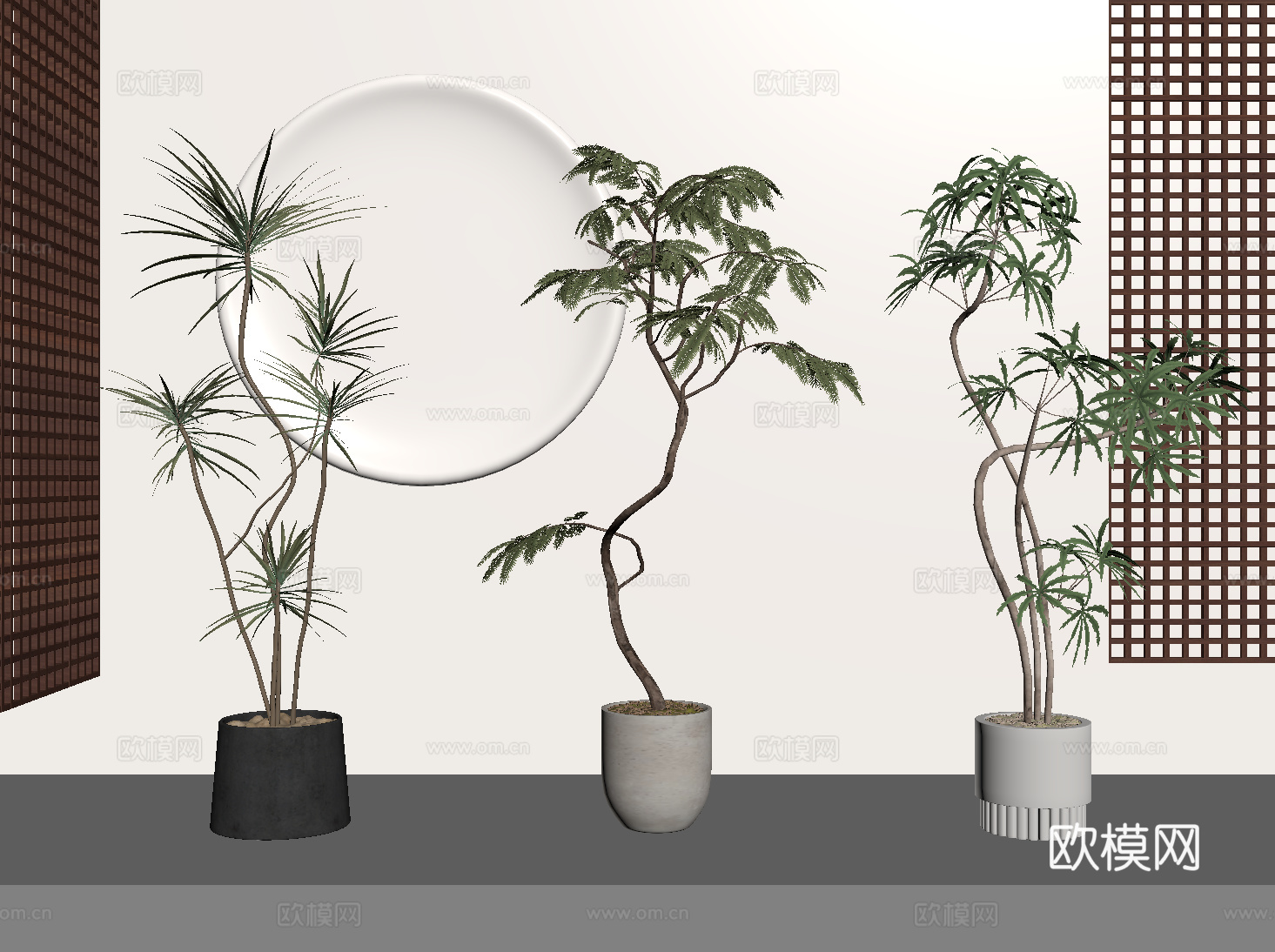 现代奶油风绿植 盆栽 密尔猴耳环 孔雀木 龙血树su模型