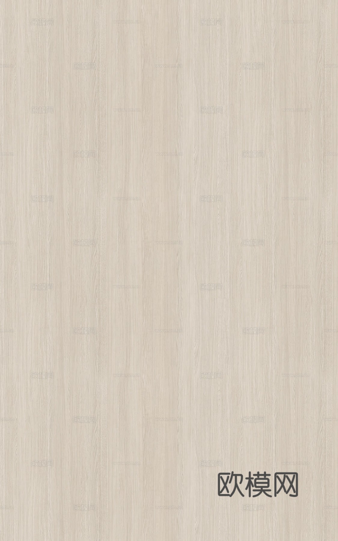 现代奶油白蜡木 浅色木纹 浅色橡木木饰面