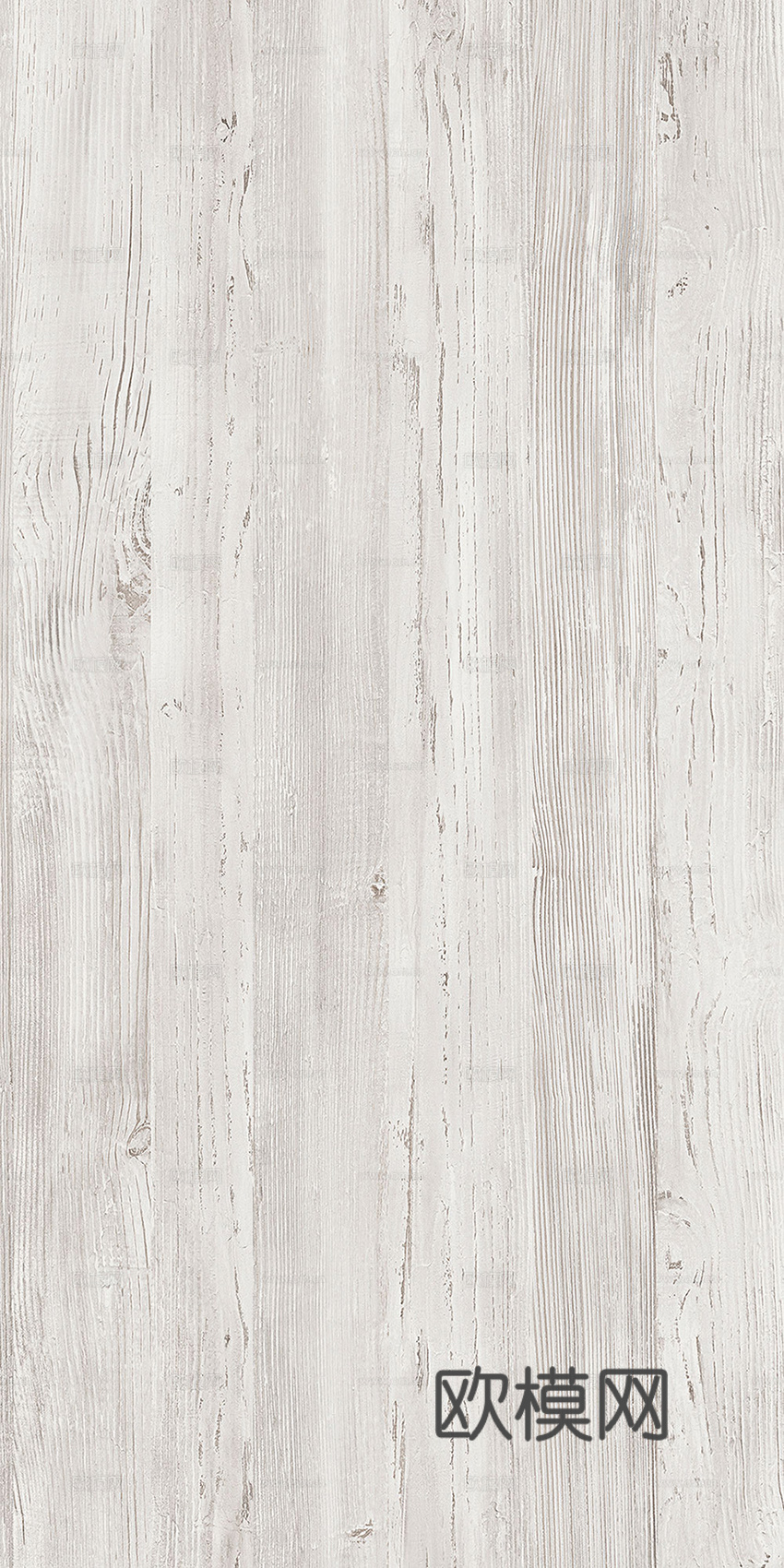现代奶油白蜡木 浅色木纹 浅色橡木木饰面