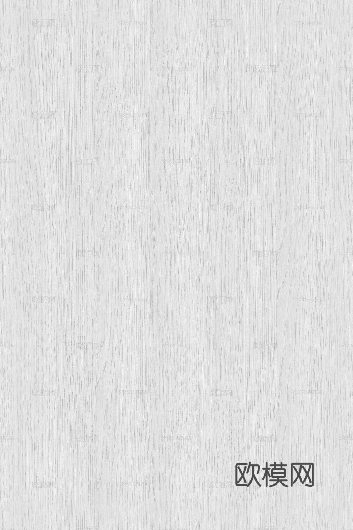现代奶油白蜡木 浅色橡木木饰面 浅色木纹