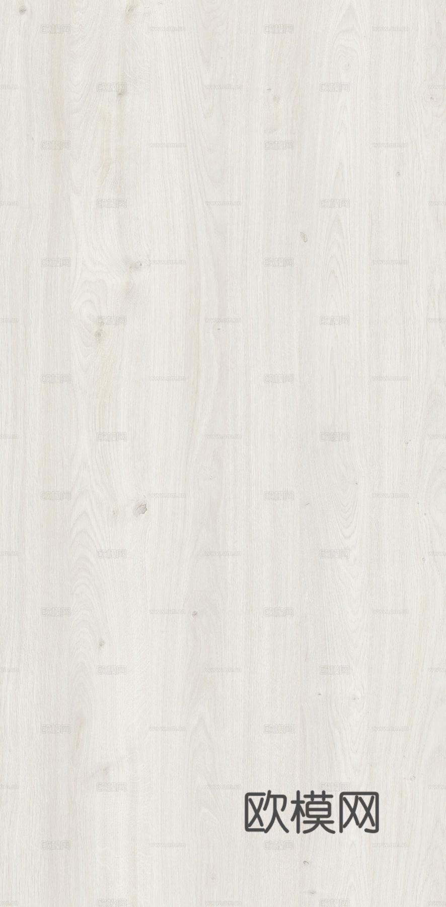 现代白色山纹橡木木饰面贴图