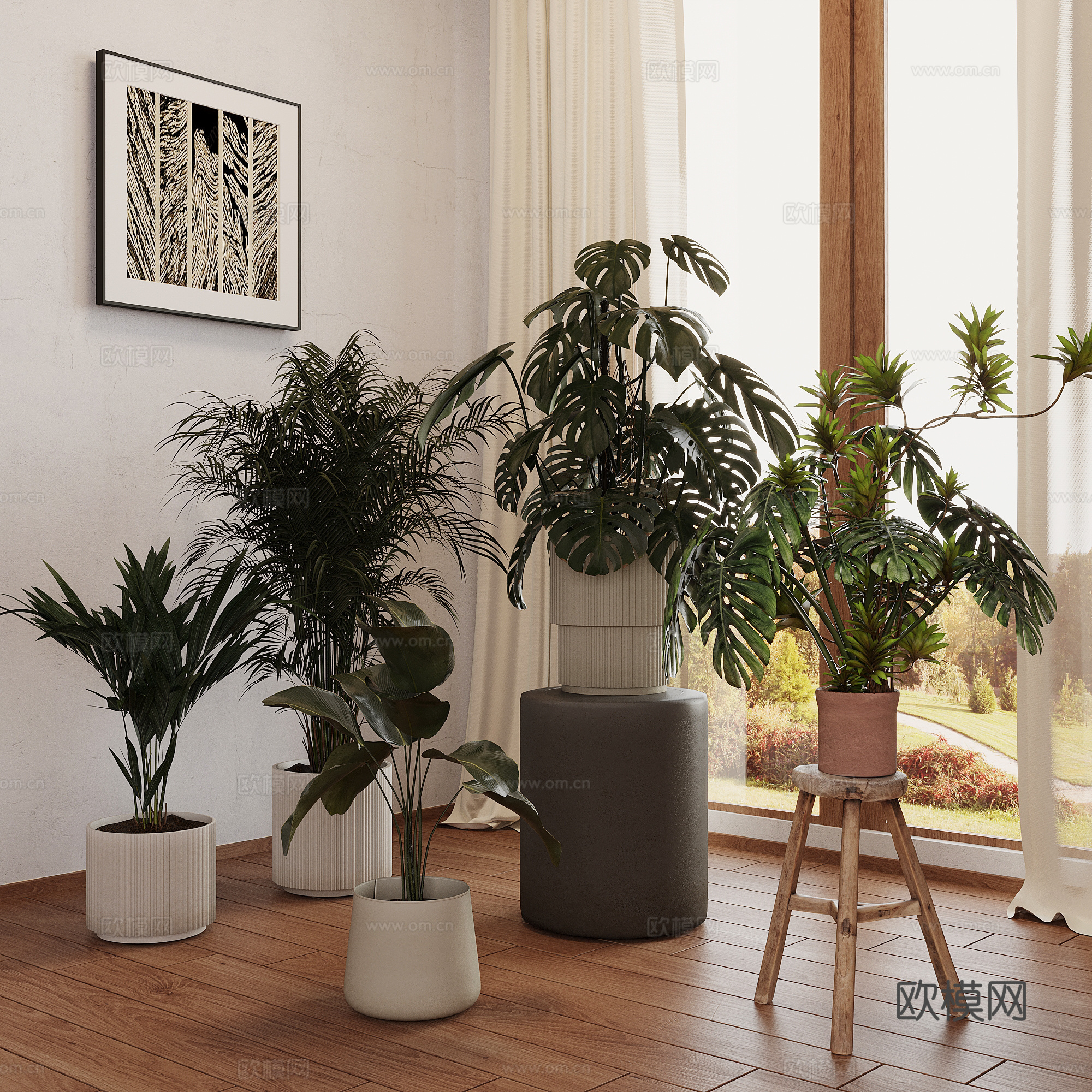 现代绿植 植物 龟背竹 盆栽盆景su模型