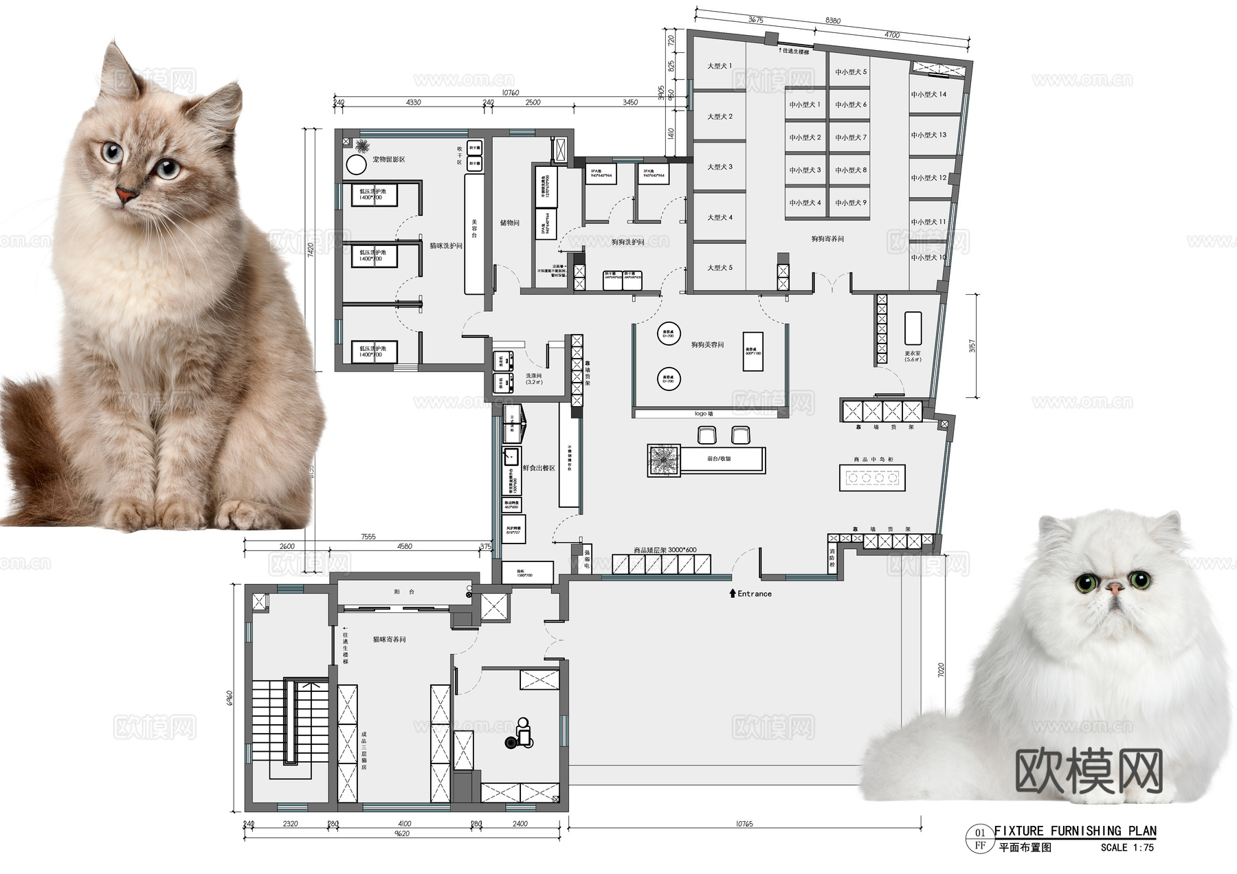 宠物店宠物医院宠物寄养平面布置图cad施工图