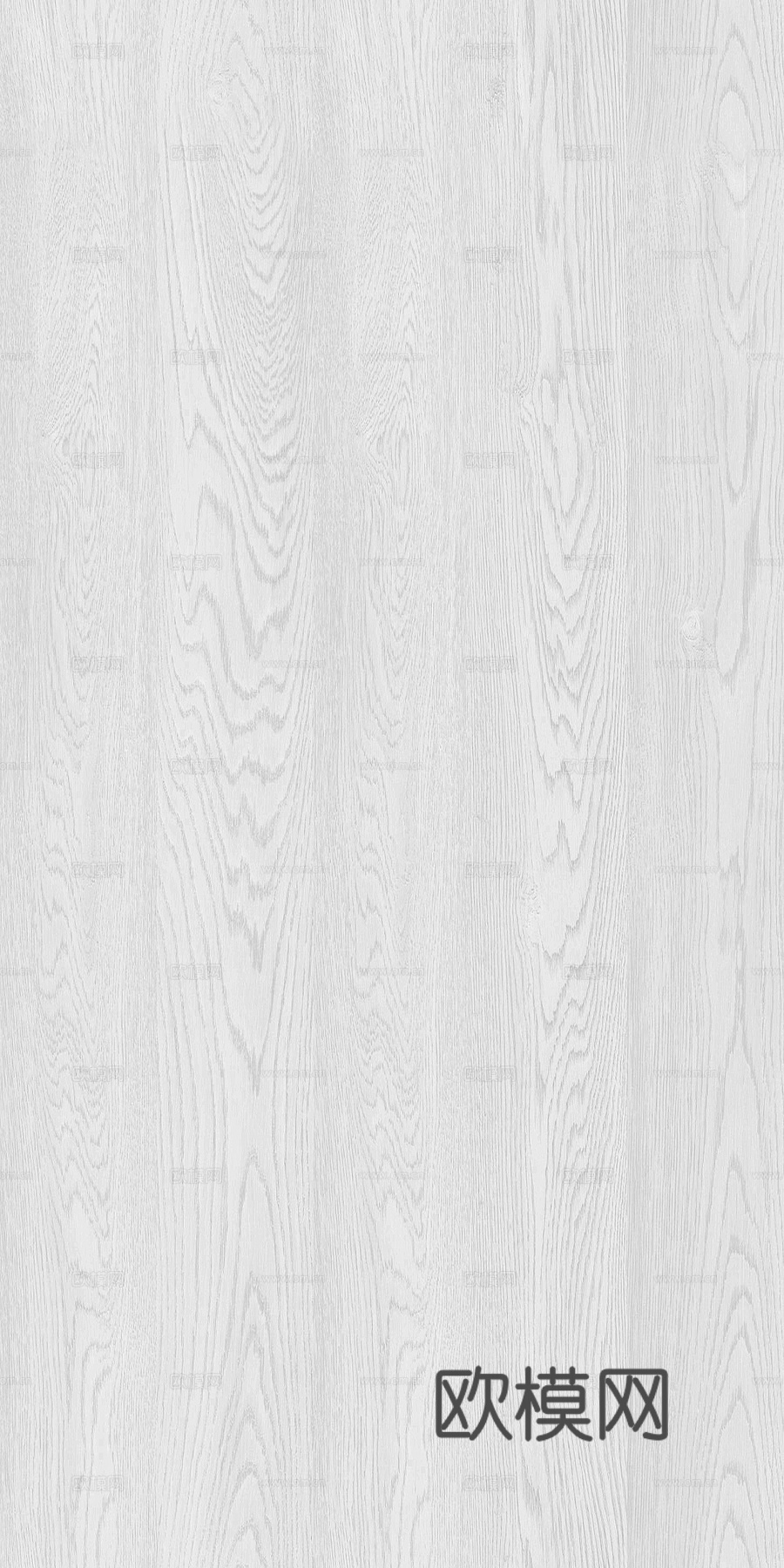 现代奶油白蜡木 浅色木纹 浅色橡木木饰面