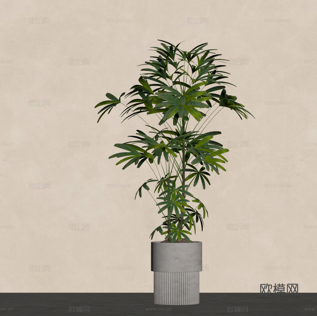 现代绿植摆件su模型