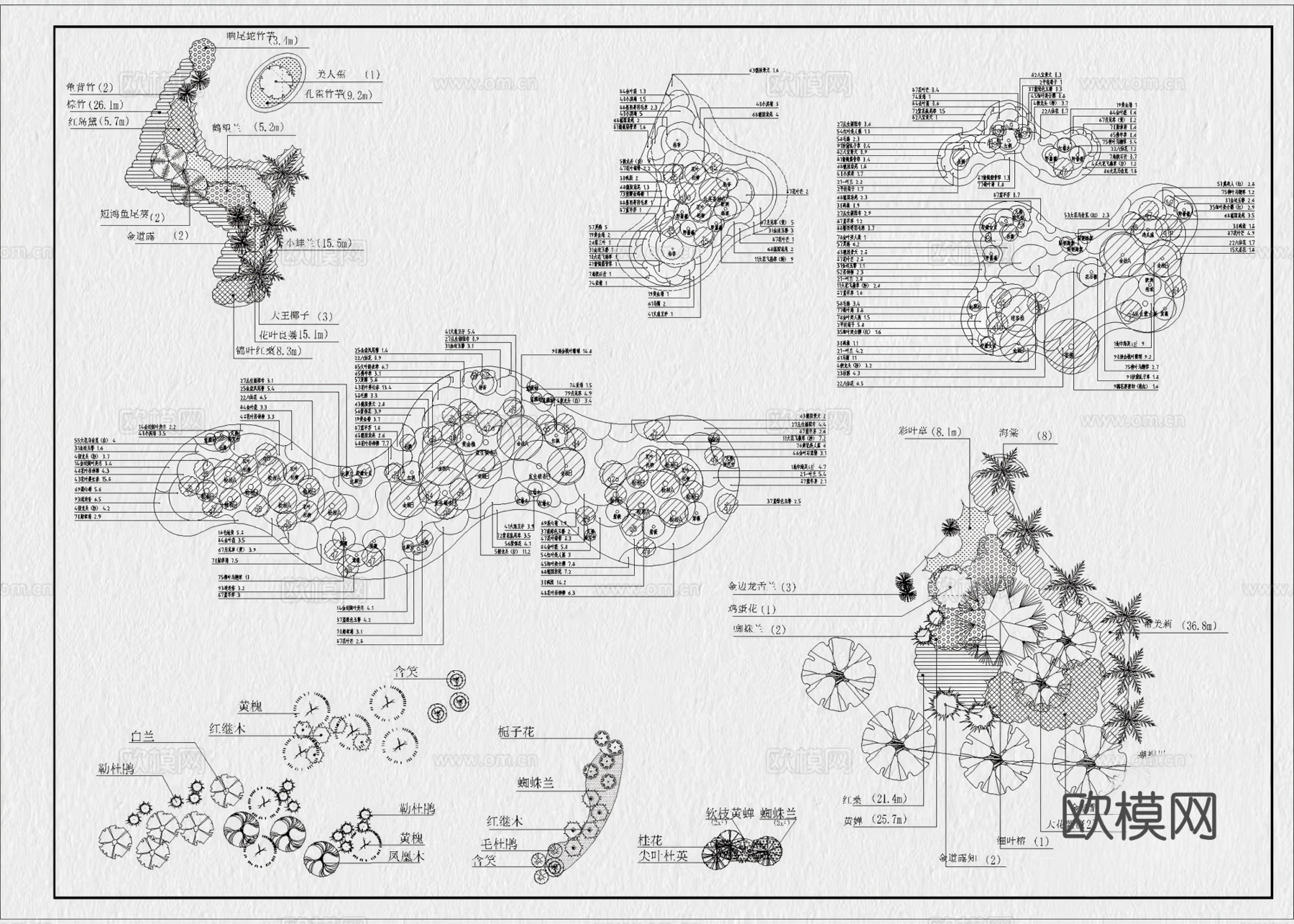 27套园林景观花境植物组团绿植配置CAD图库cad施工图