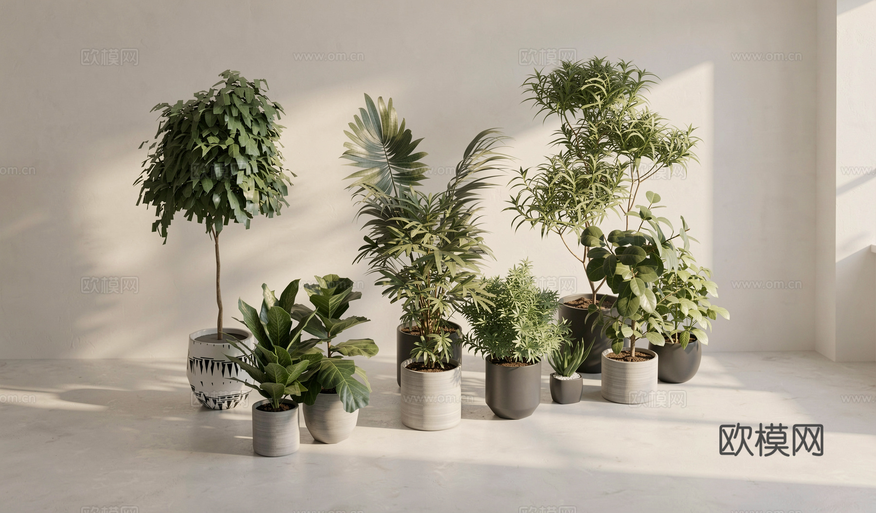 现代盆栽绿植组合su模型