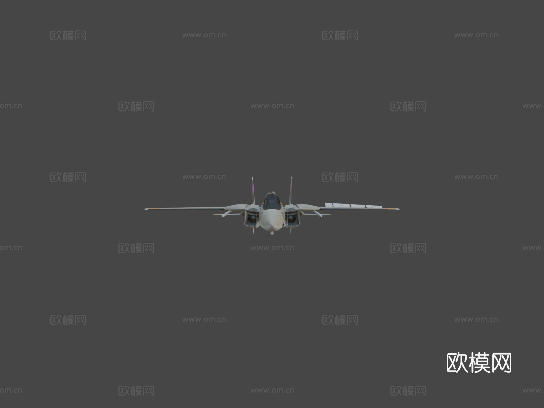 F-14A =剑客=3d模型下载（渲染图5）