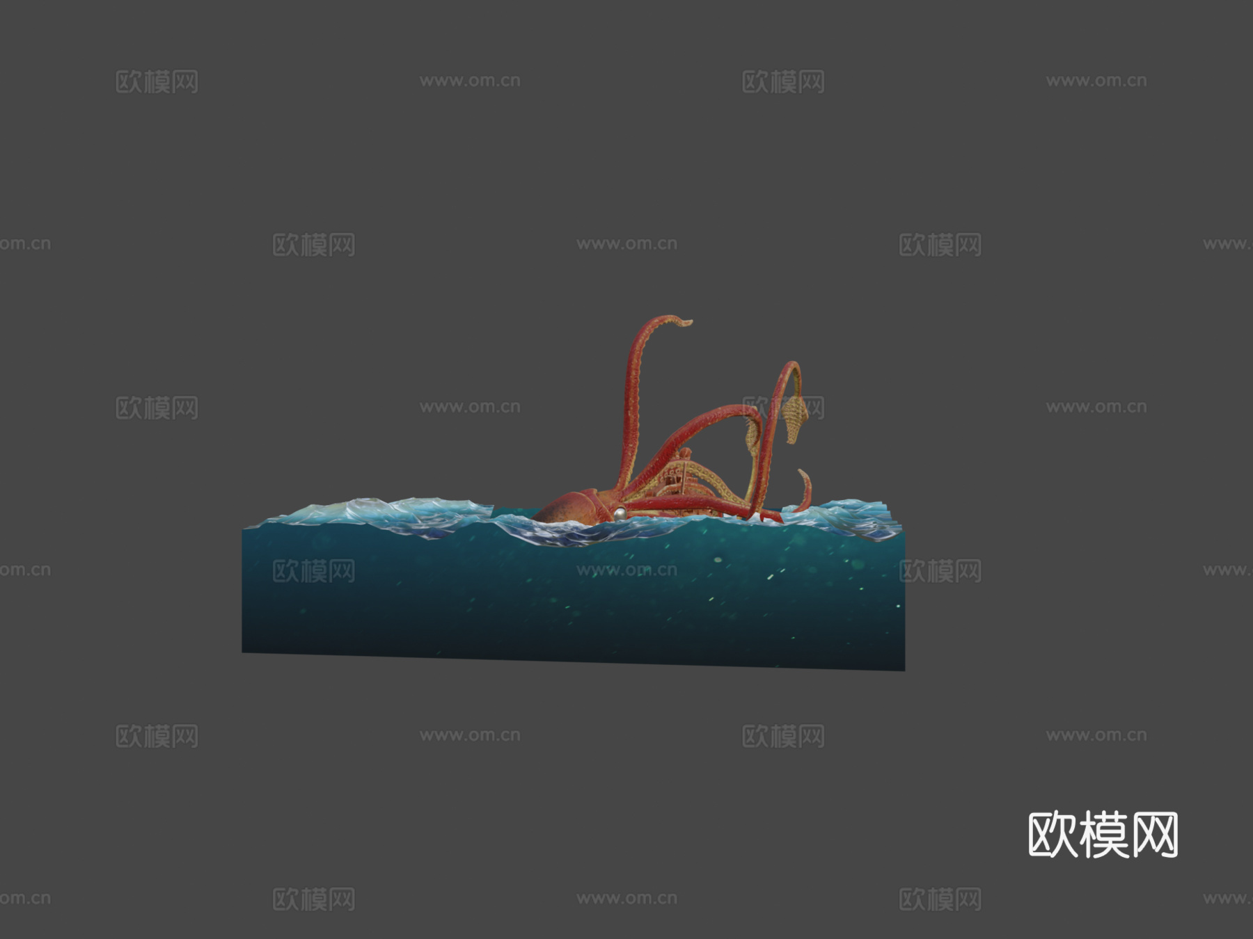 巨型乌贼对战鹦鹉螺号3d模型下载（渲染图5）