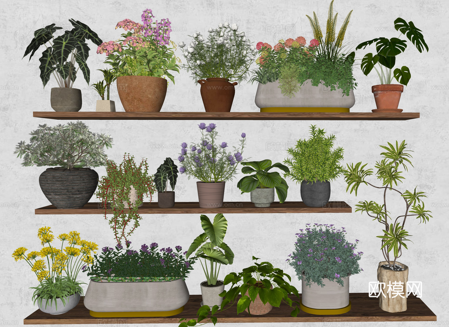 花卉盆栽 绿植盆栽 花盆 小花盆su模型