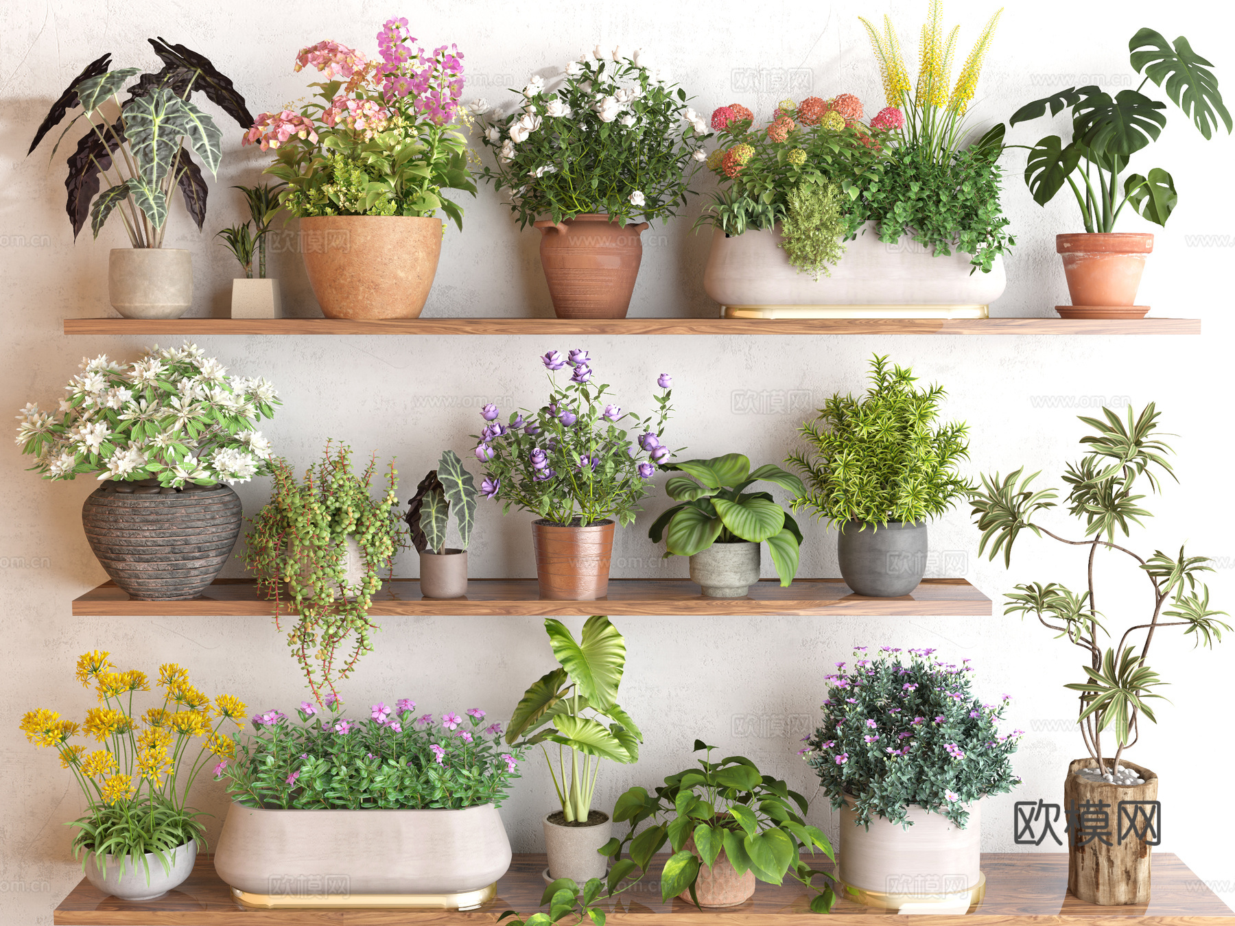 花卉盆栽 绿植盆栽 花盆 小花盆su模型