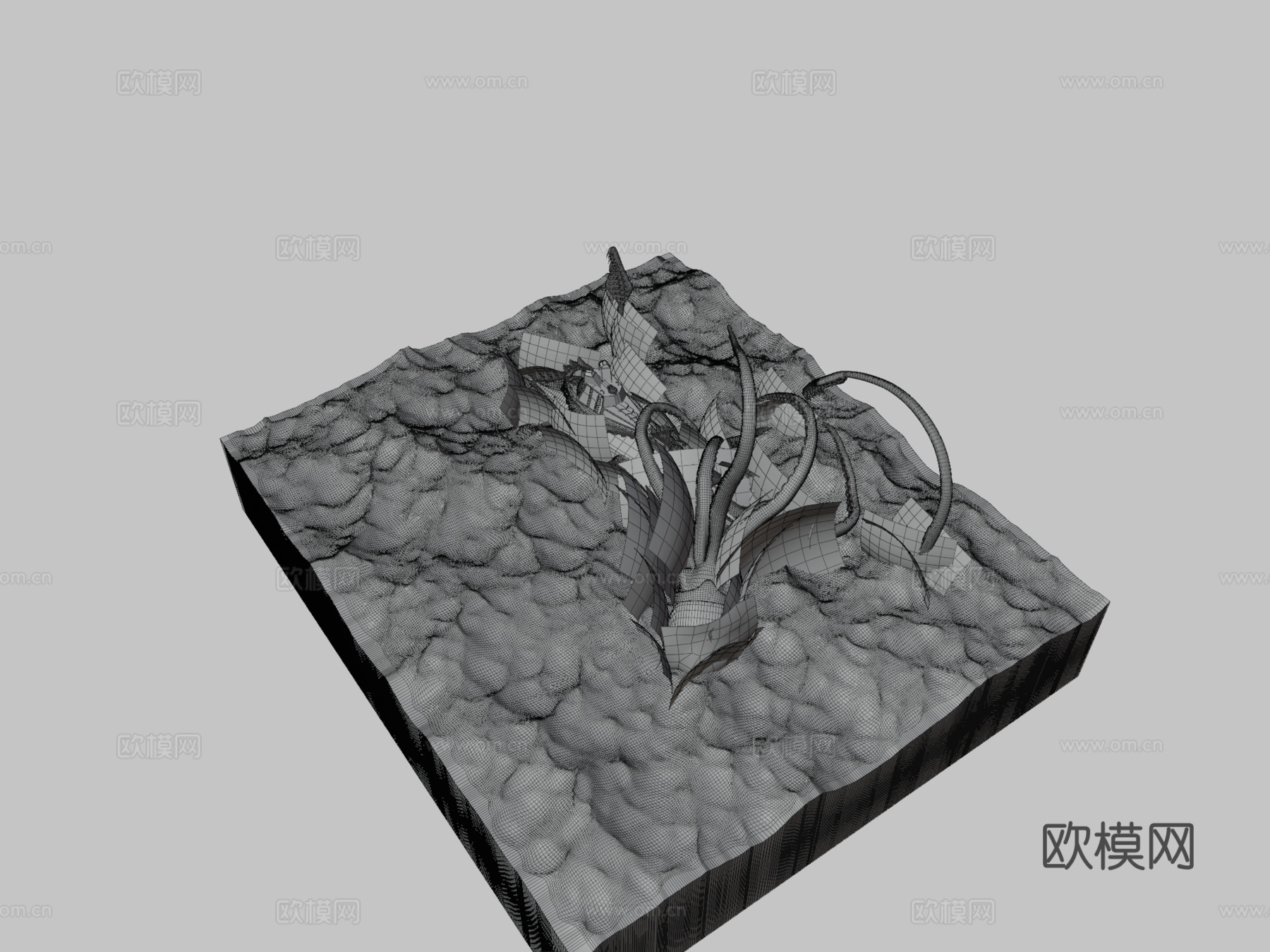 巨型乌贼对战鹦鹉螺号3d模型下载（渲染图3）