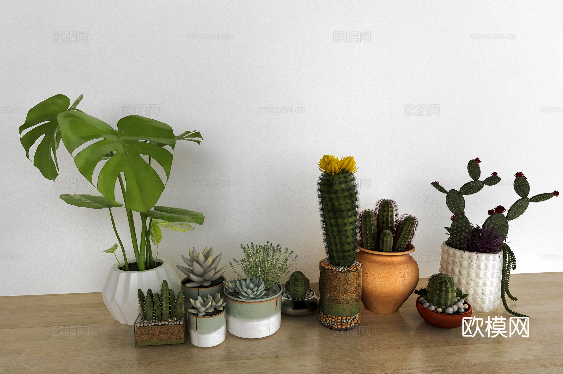 现代盆栽植物组合3d模型下载（渲染图2）