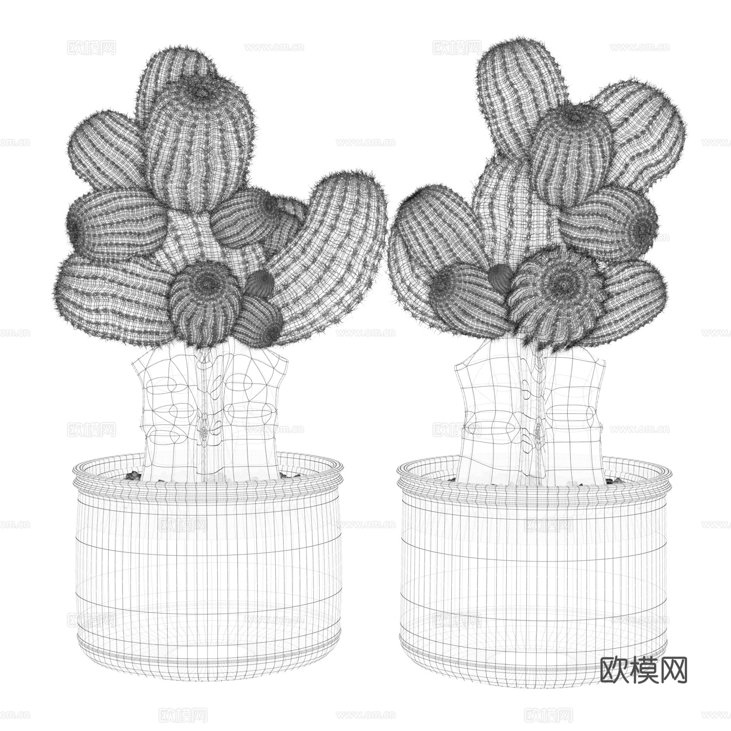 红色 仙人掌 植物 软装 精模3d模型