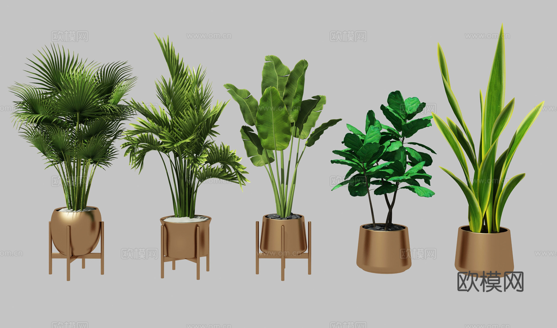 现代精品绿植组合3d模型下载（渲染图1）