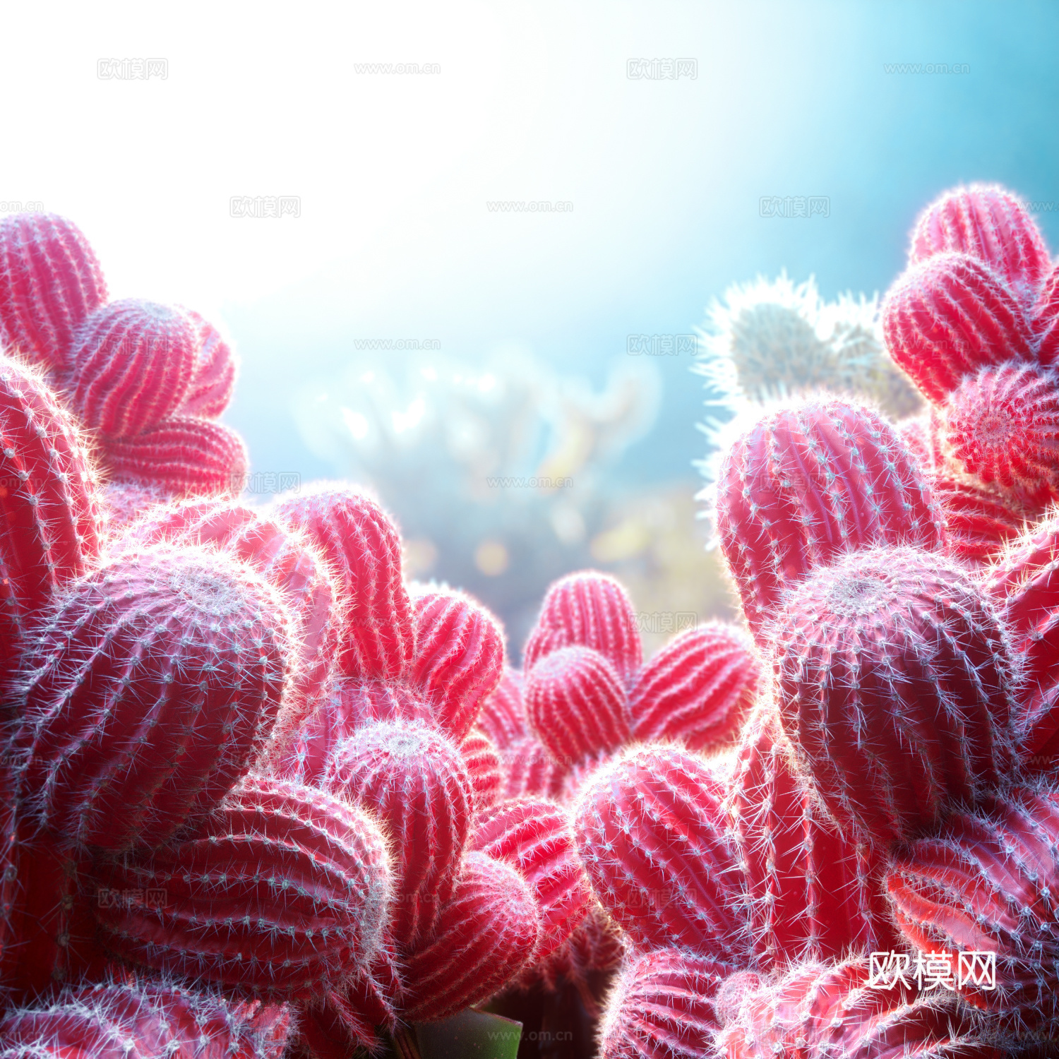 红色 仙人掌 植物 软装 精模3d模型