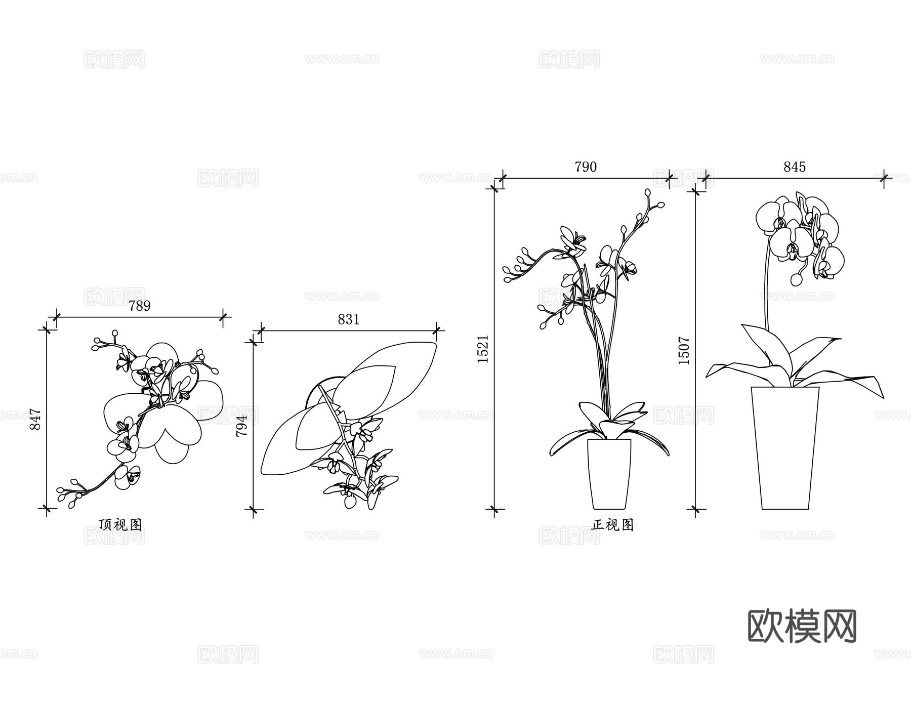 兰草 幽兰 芝兰 山兰 国兰cad施工图