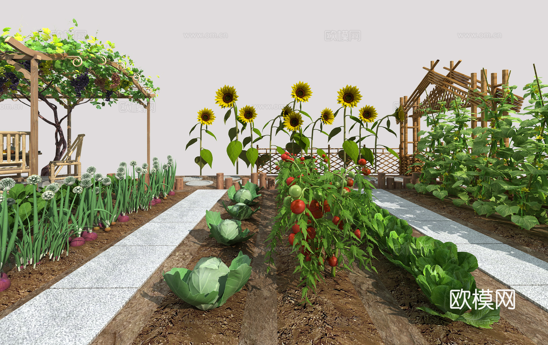 现代乡村菜地菜园3d模型下载（渲染图7）