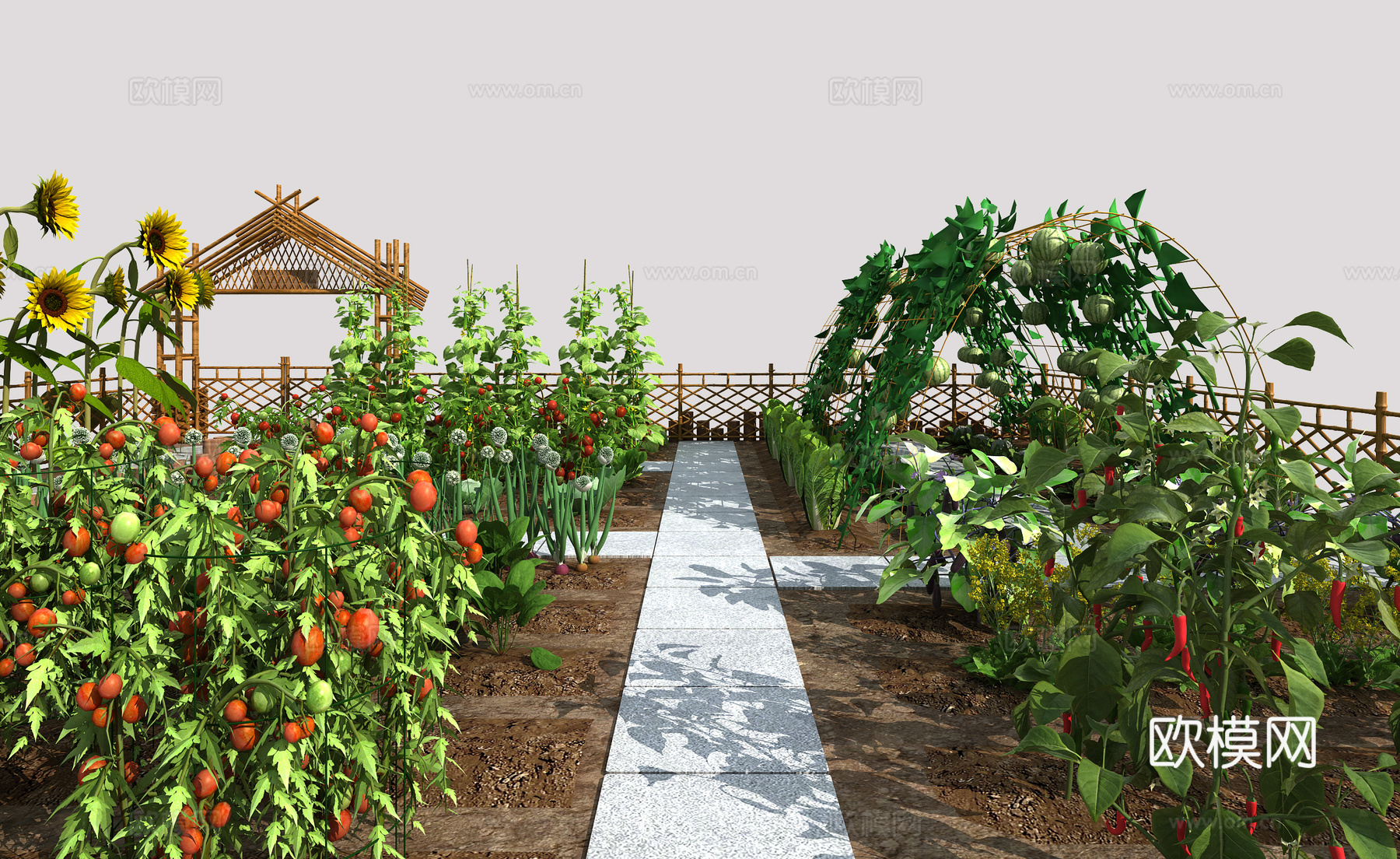 现代乡村菜地菜园3d模型下载（渲染图4）
