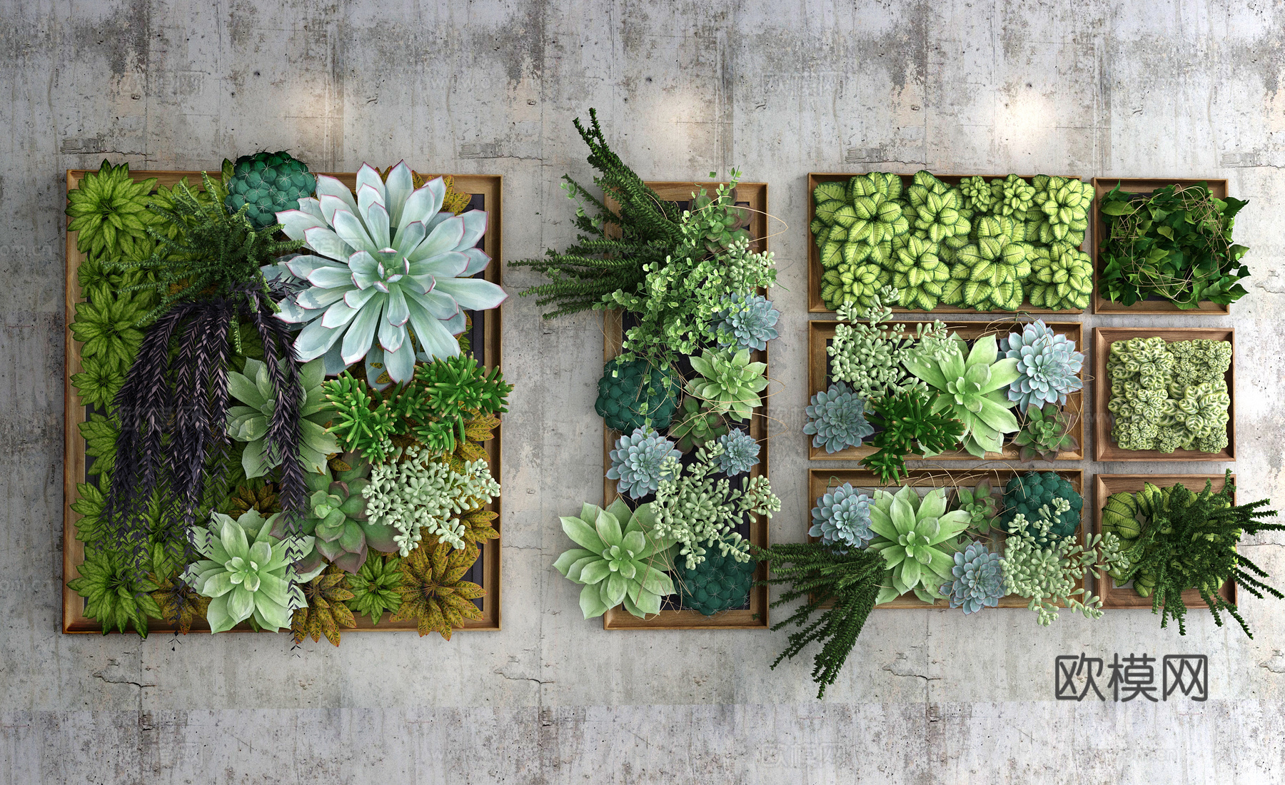现代多肉植物 植物墙3d模型下载