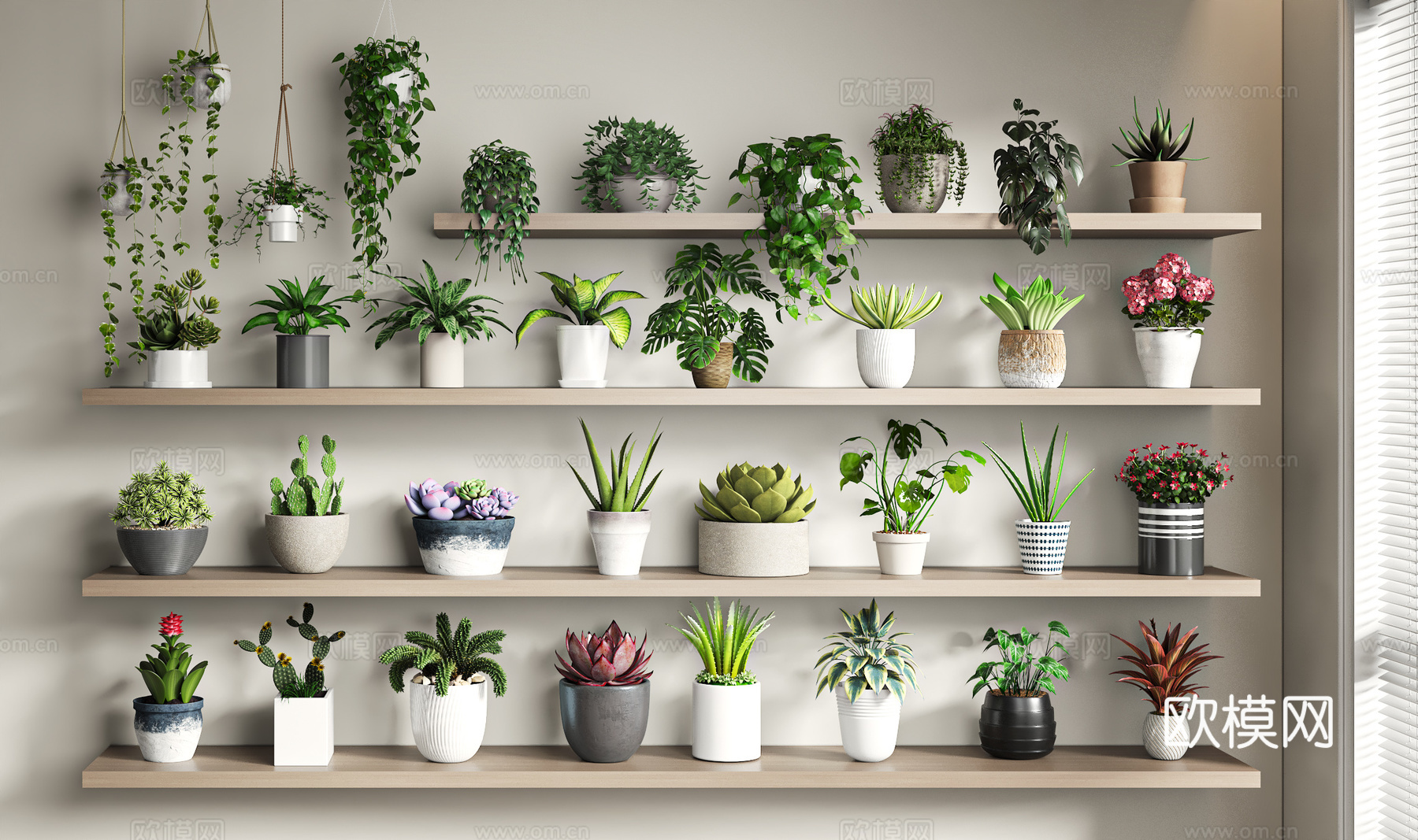 现代小盆栽3d模型