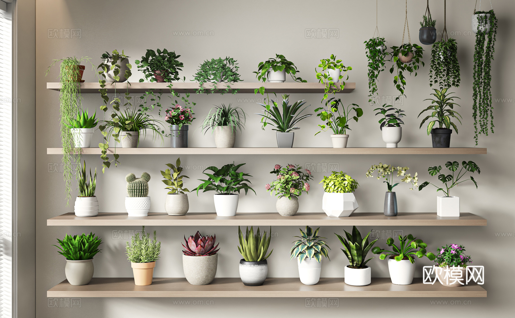 现代小盆栽3d模型下载