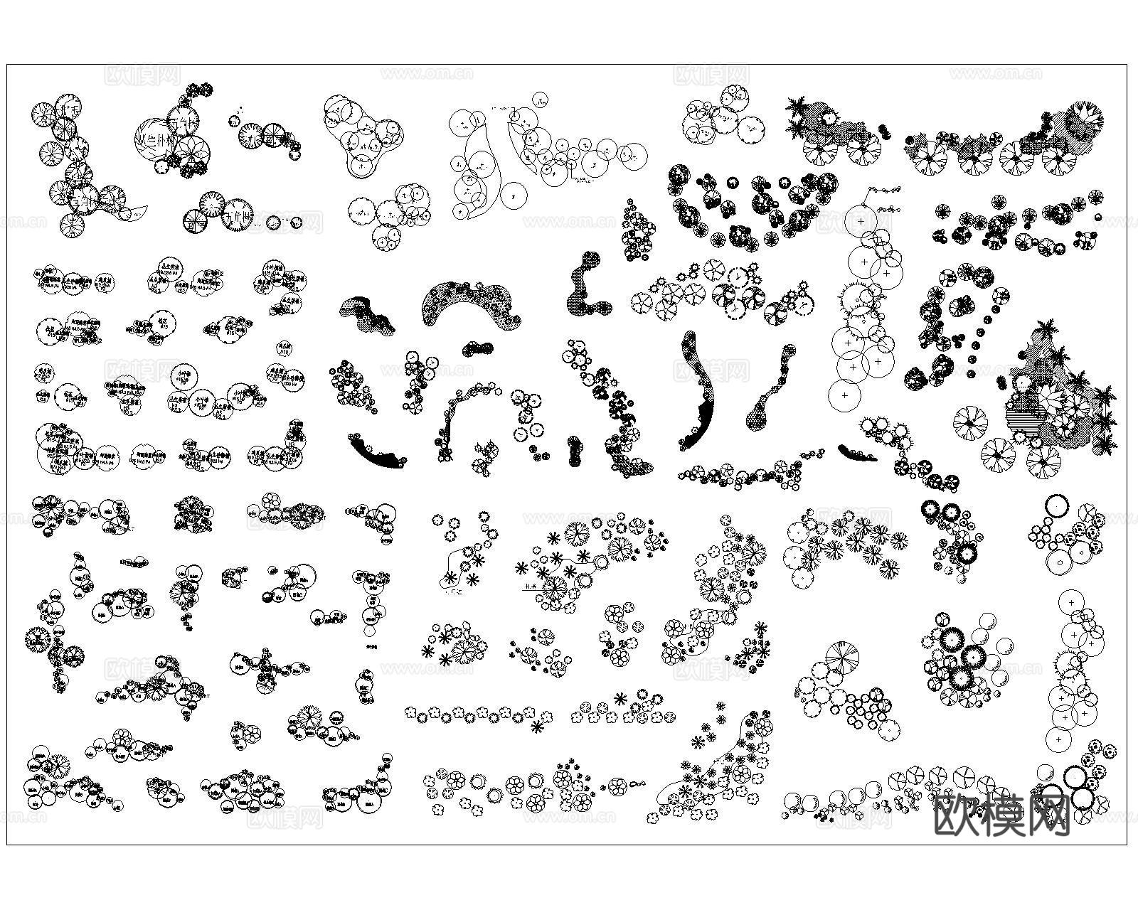 树木种植配置cad施工图
