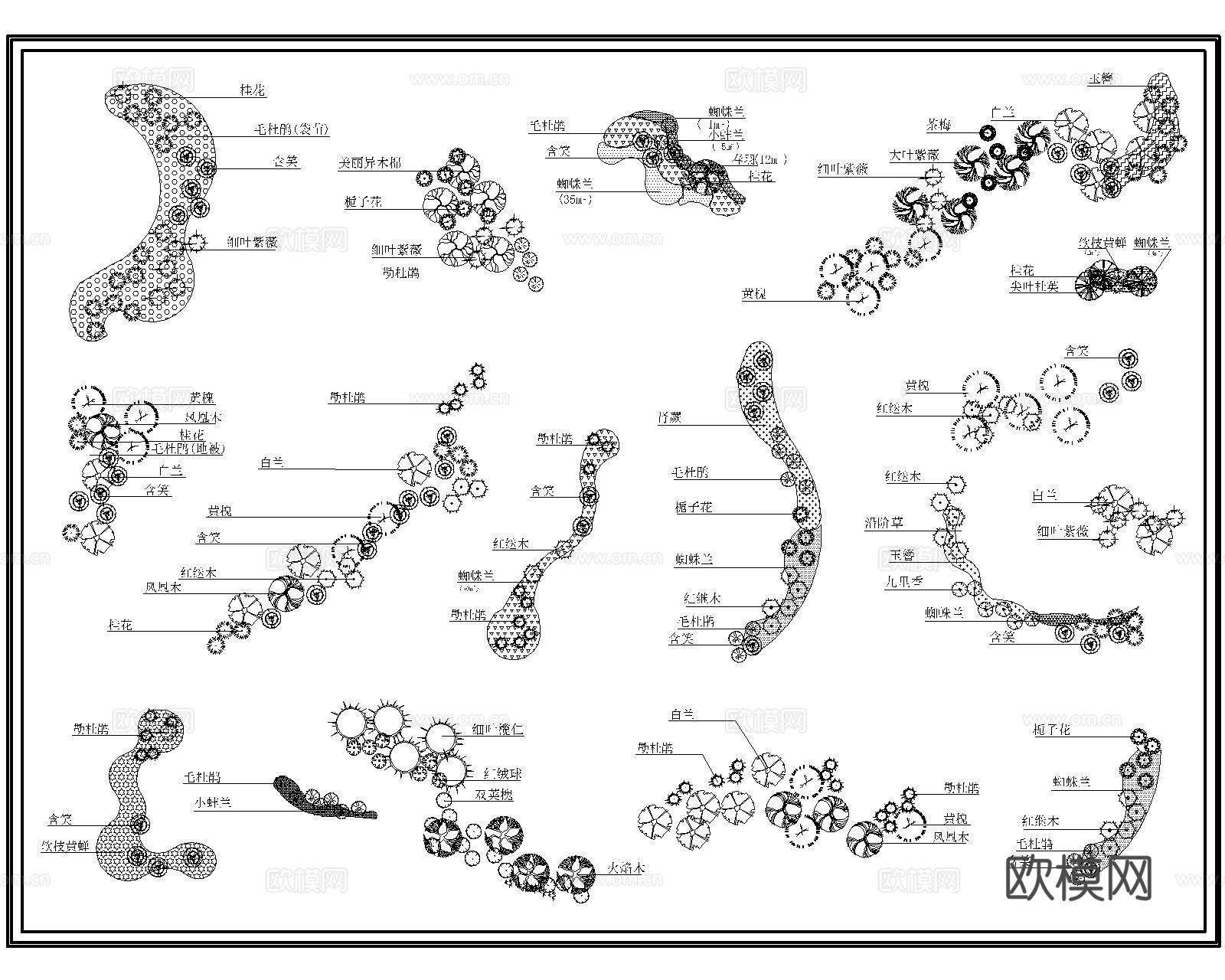 树木种植配置cad施工图