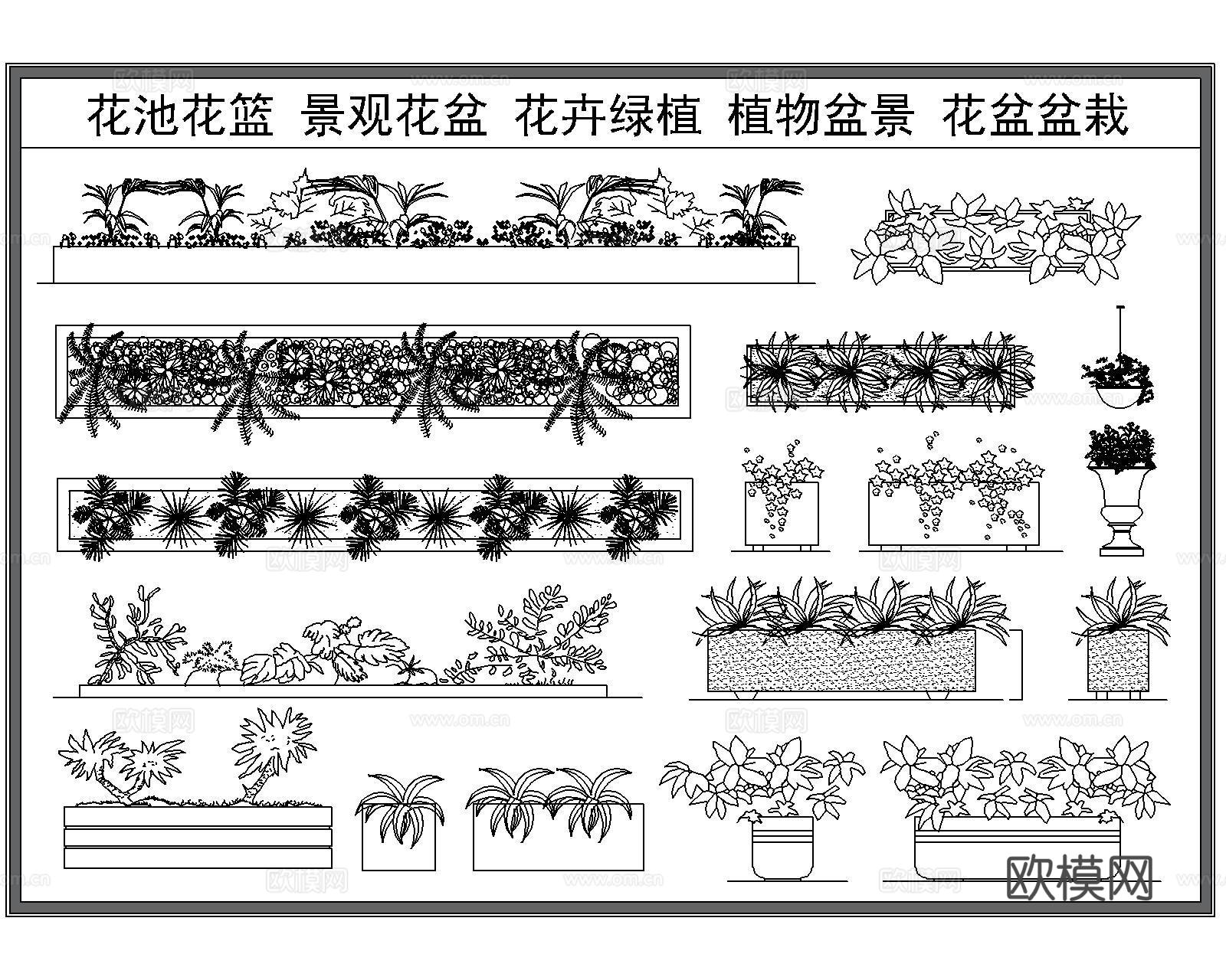 树木种植配置cad施工图