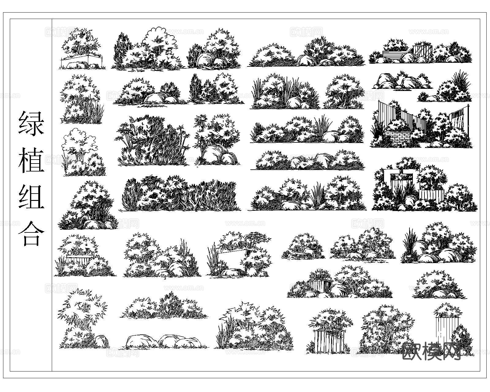 树木种植配置cad施工图