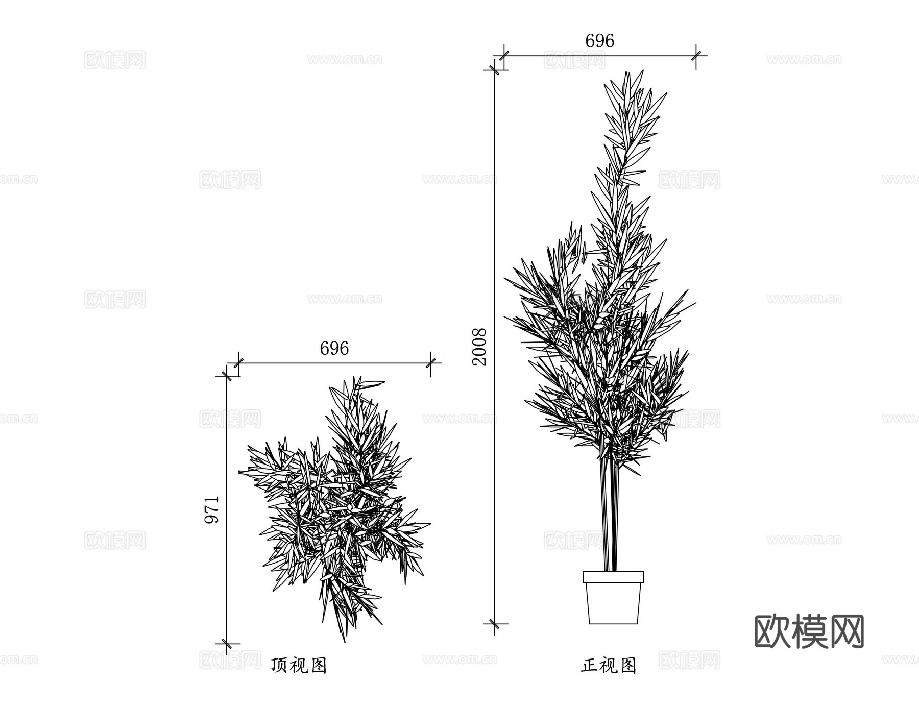 盆竹 观赏竹盆景 室内盆栽竹 竹盆景 盆栽竹cad施工图