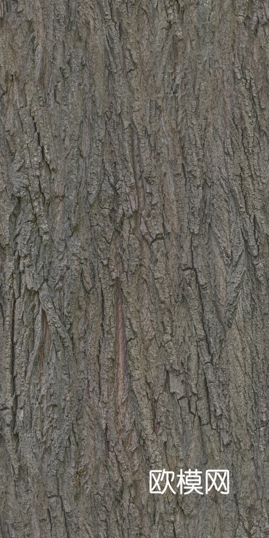 PBR树皮材质 裂纹树皮 法线置换贴图 全套 游戏材质