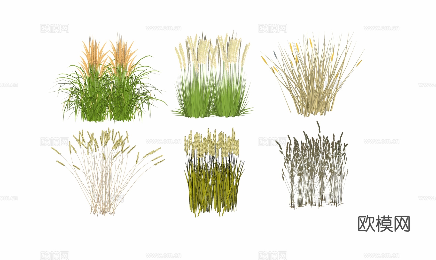水稻小麦植物组合su模型
