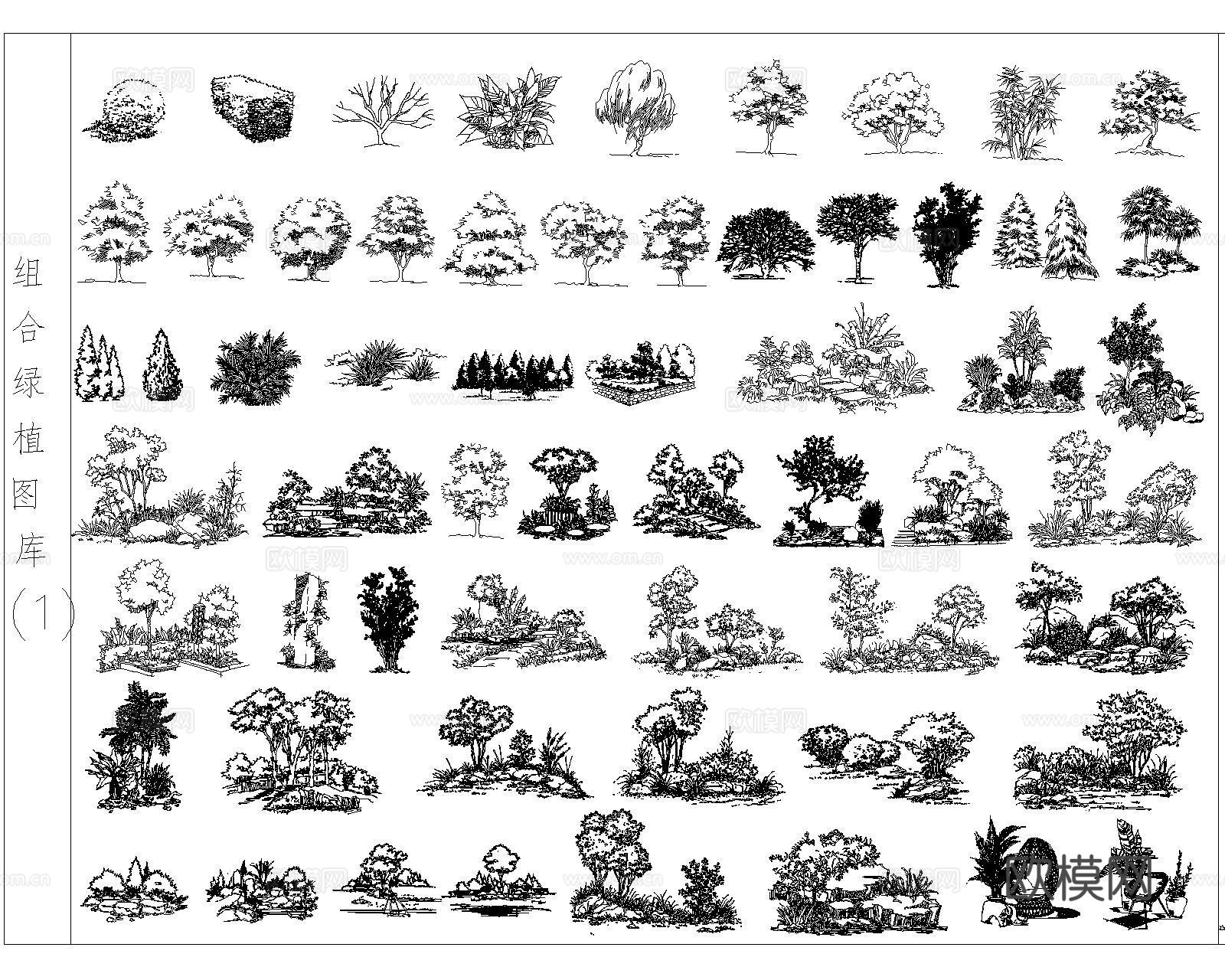 树木种植配置cad施工图