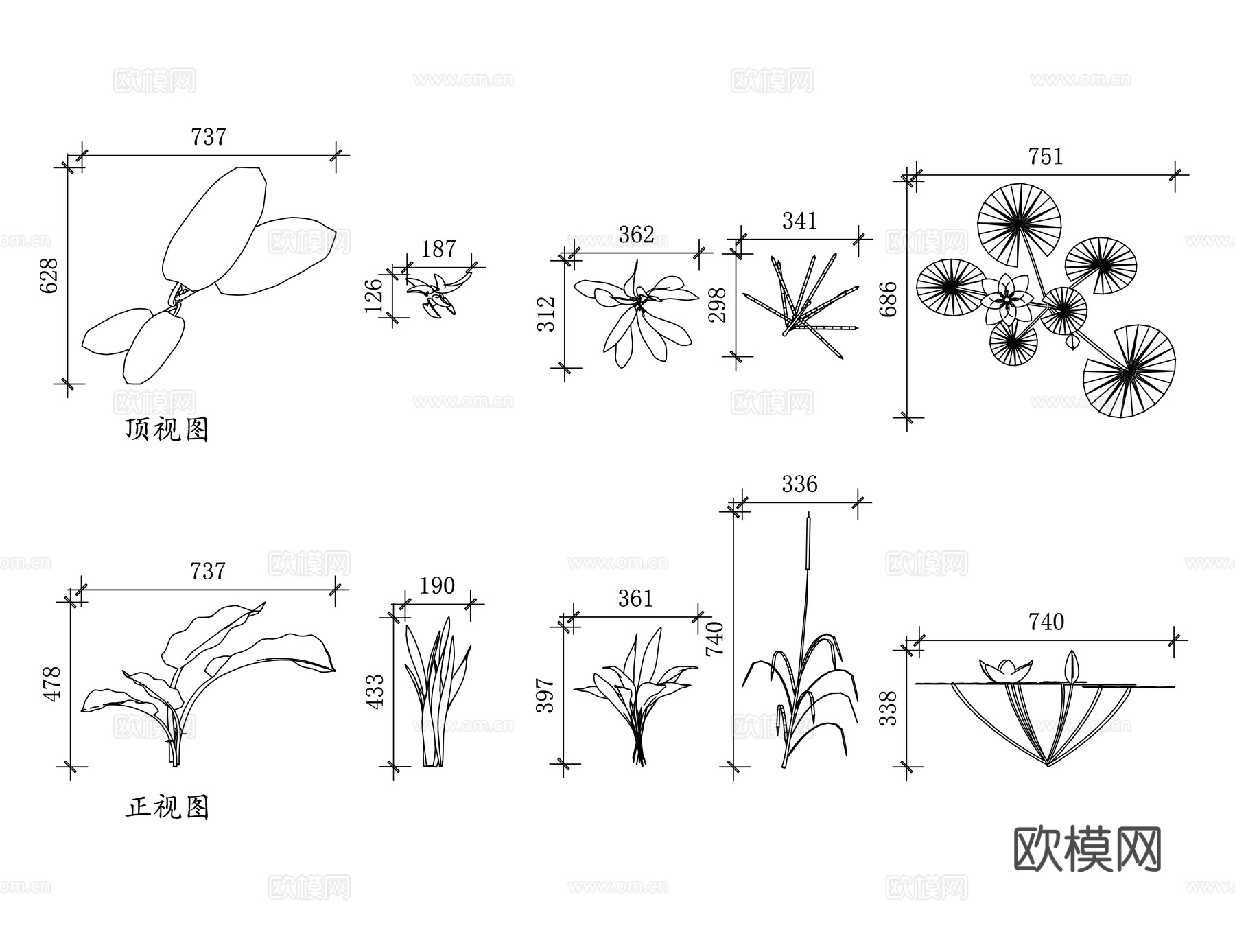 水草 水培植物 水生绿植 水中植物 湿地植物cad施工图