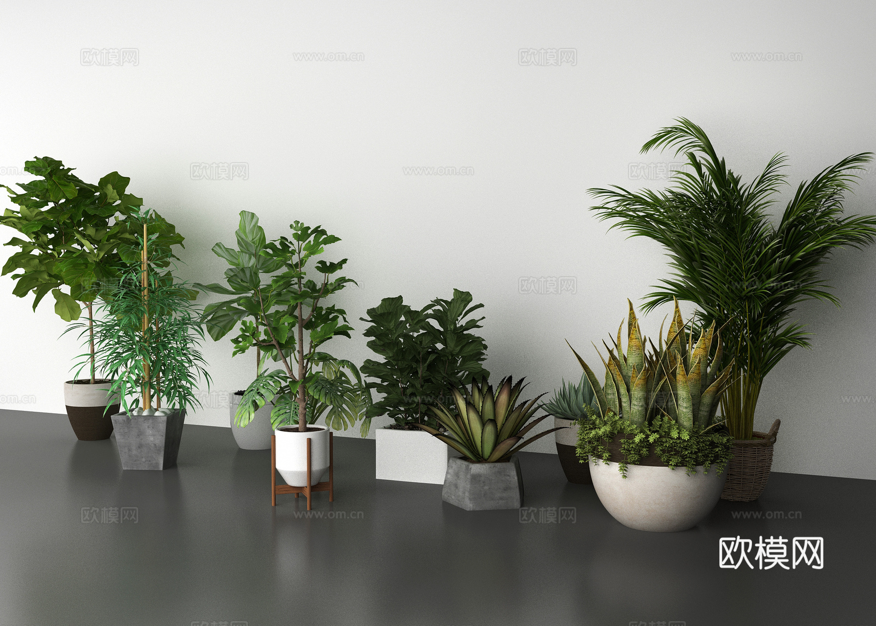 现代植物装饰品3d模型下载
