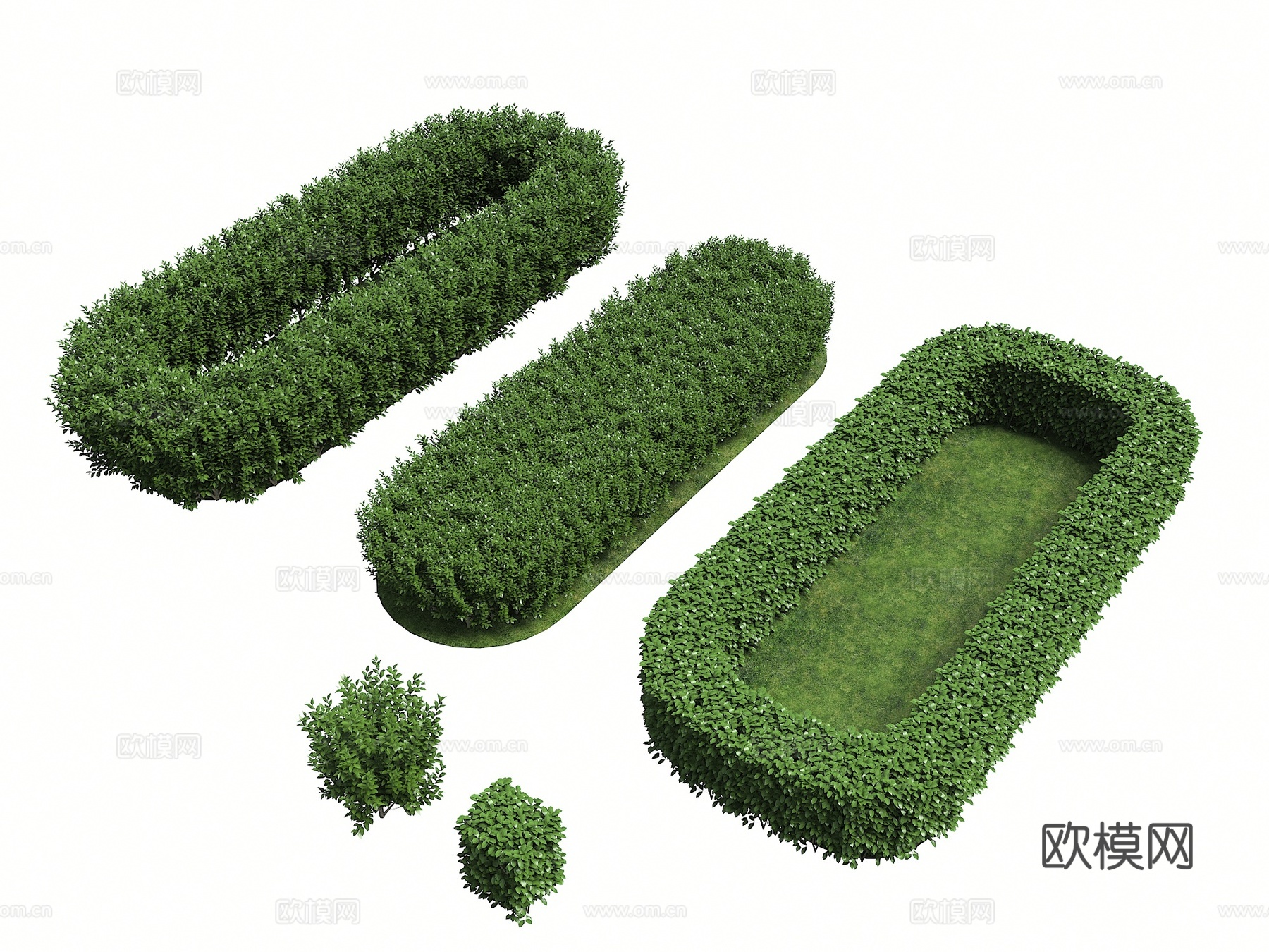 植物 灌木 植物堆 灌木丛 绿化带植物 整形植物su模型