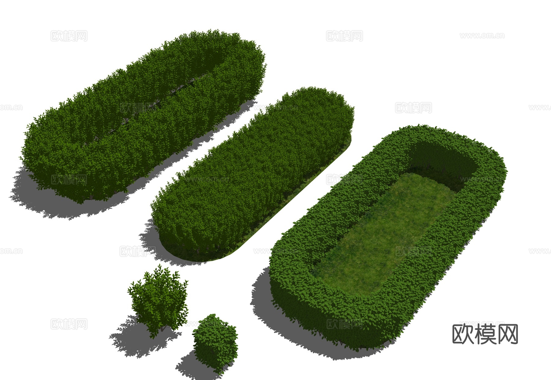 植物 灌木 植物堆 灌木丛 绿化带植物 整形植物su模型