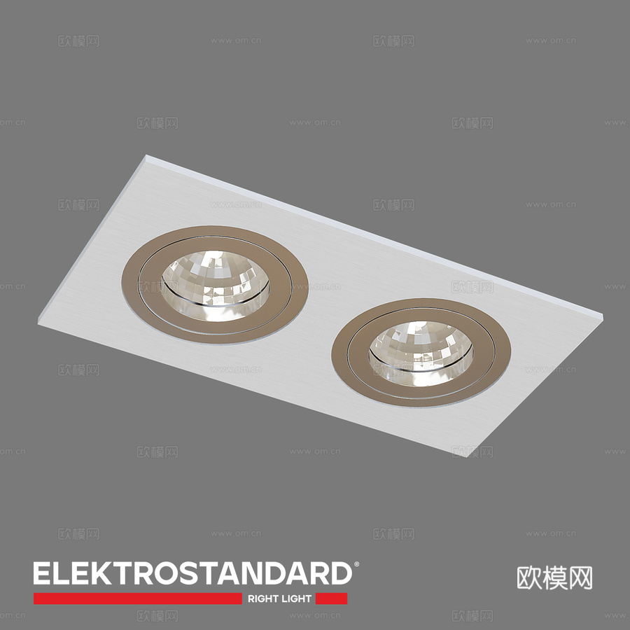 OM 天花板装饰灯 Elektrostandard 10513d模型3d模型下载