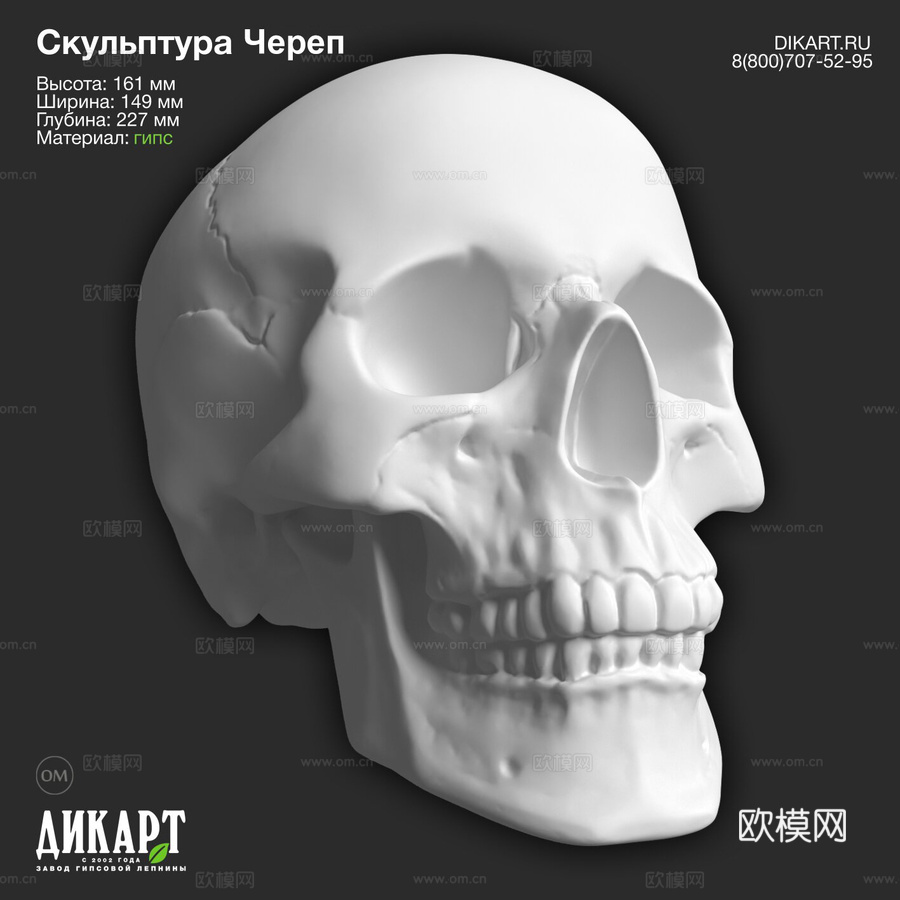 迪卡特雕塑 颅骨-1 161x149x227mm3d模型下载