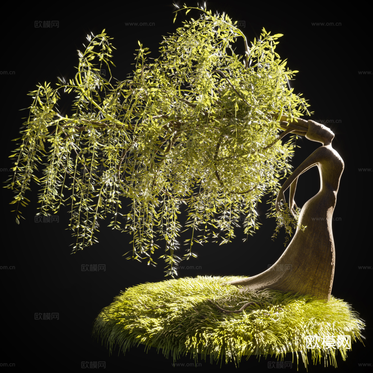 柳树3d模型下载