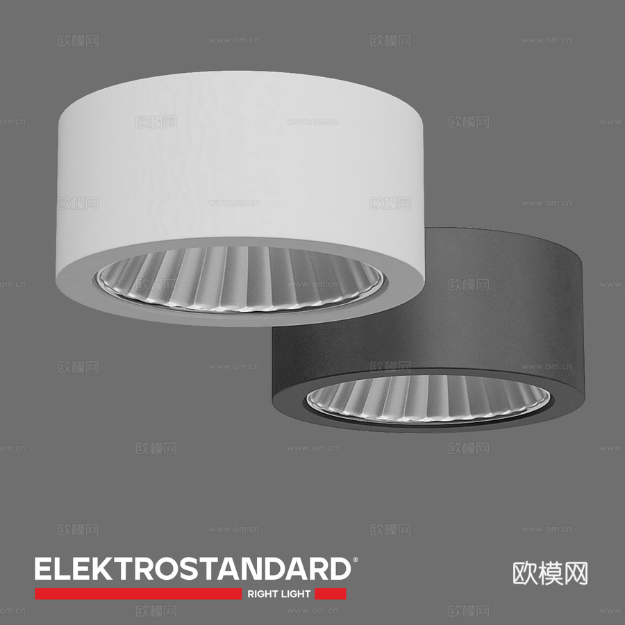 OM 天花板重点照明灯 Elektrostandard 103d模型下载
