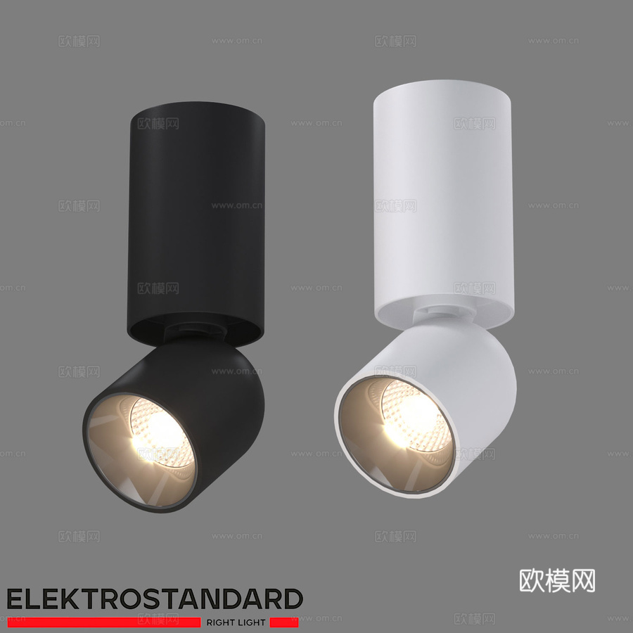 LED吸顶灯 Elektrostandard Spot 253d模型下载